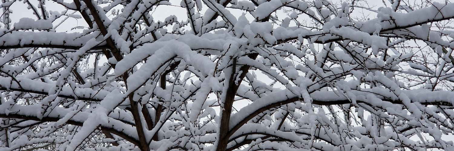 MariaDoulis's profile banner image