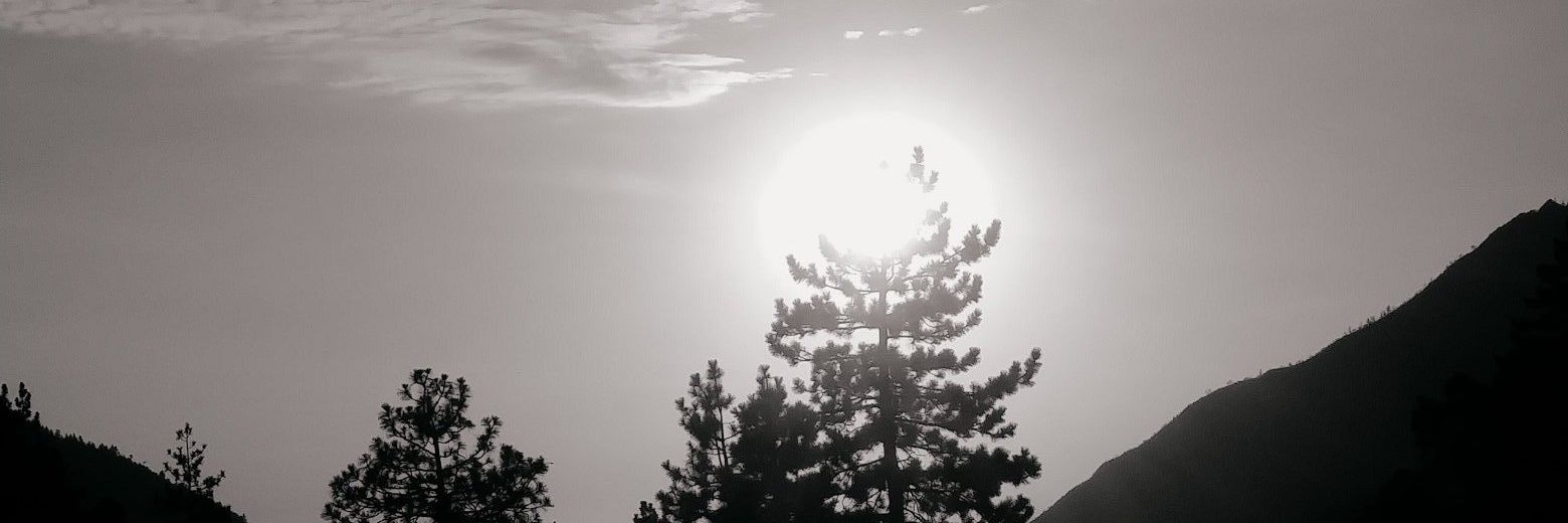 eyypilla's profile banner image