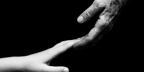 Rosetrees Trust banner