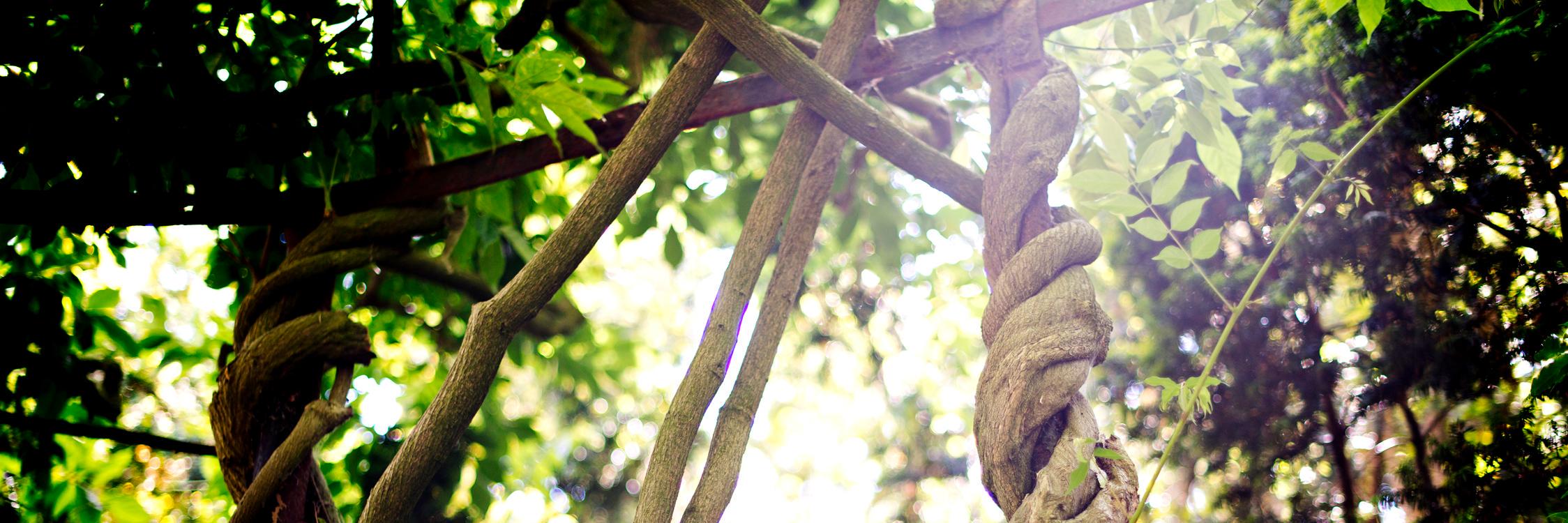 SchulerKate's profile banner image