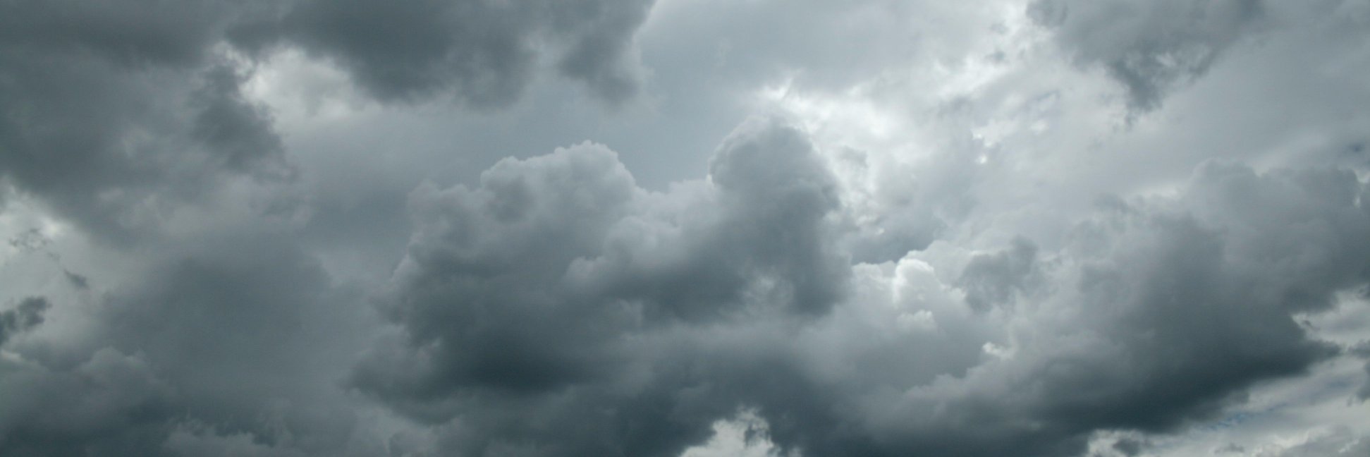 Hunkle Arvey (Harry Hedgehog) banner