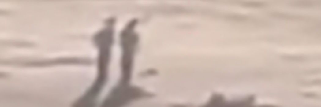 pestkillerz's profile banner image