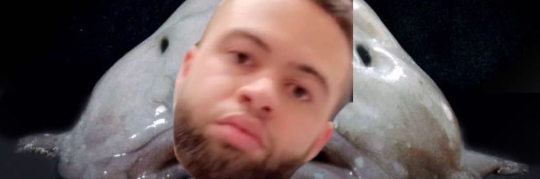 TMBlumes22's profile banner image