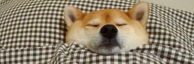 istoglu's profile banner image
