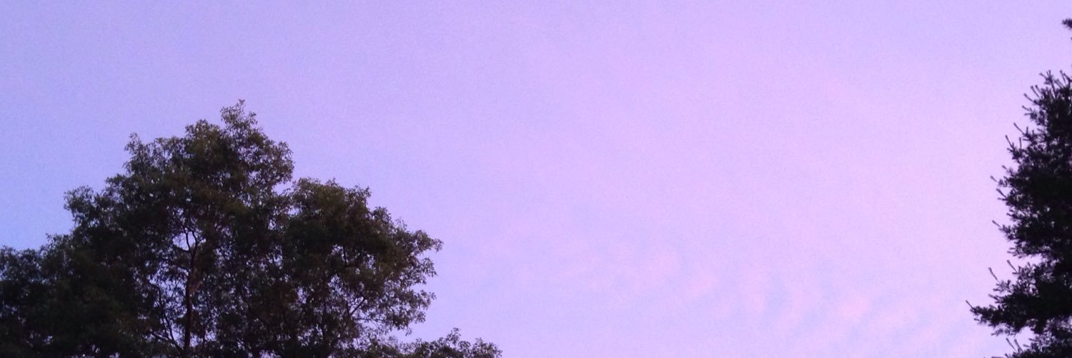Caelene404's profile banner image