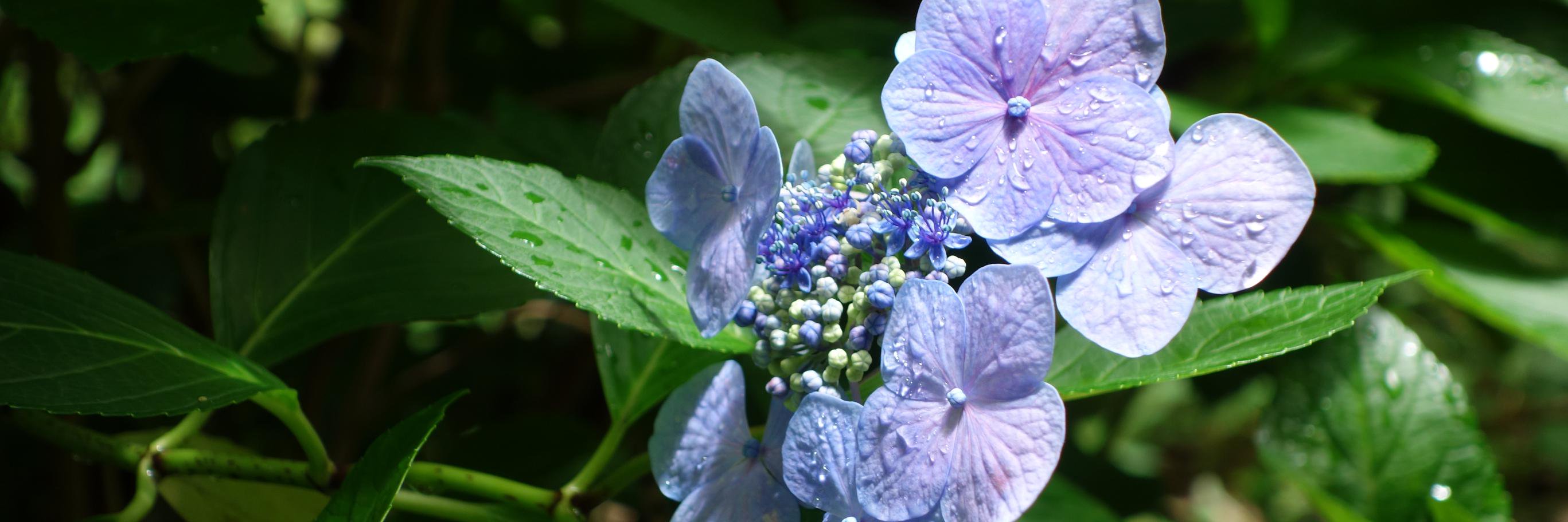 ct54174's profile banner image
