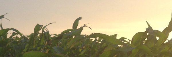 rkvittetoe Profile Banner