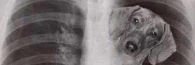 TheBasedEER's profile banner image