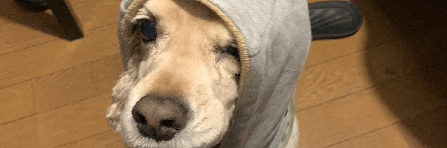 JpsSub's profile banner image