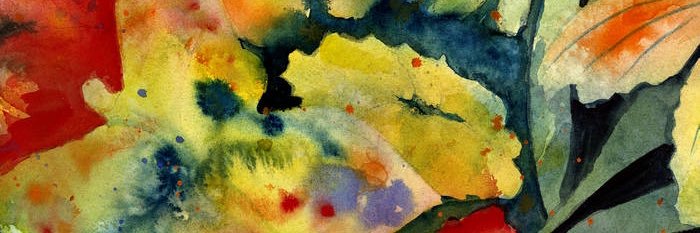 nathan 🇵🇸 banner