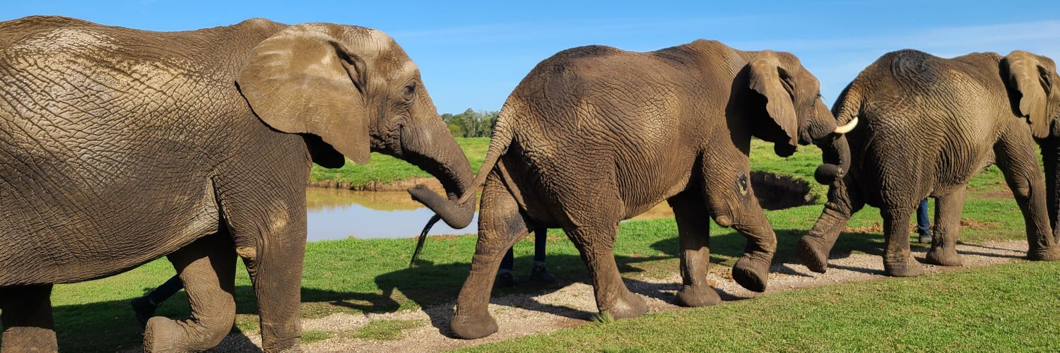 Baylee Edwards banner