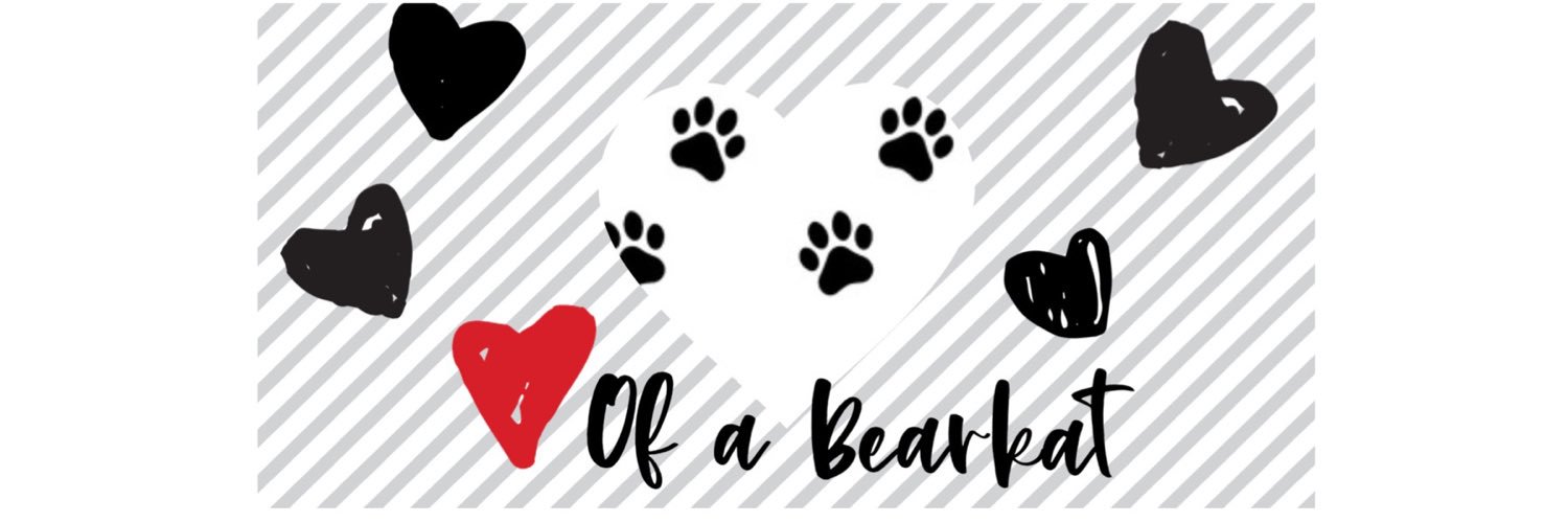 BlackBearkats's profile banner image