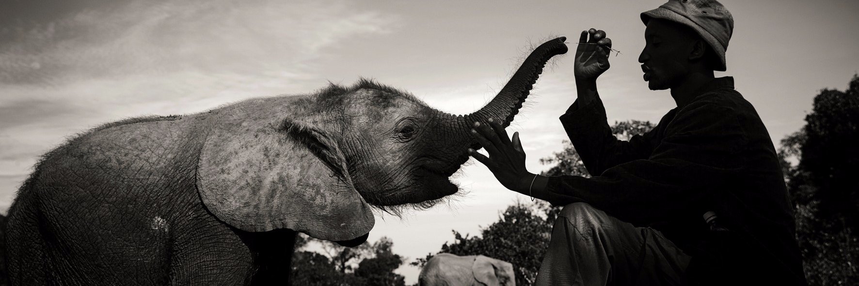 teNeues Publishing banner