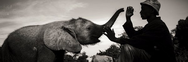teNeues Profile Banner