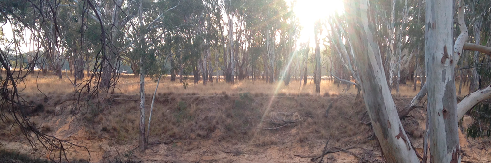 JarrodTrigg's profile banner image