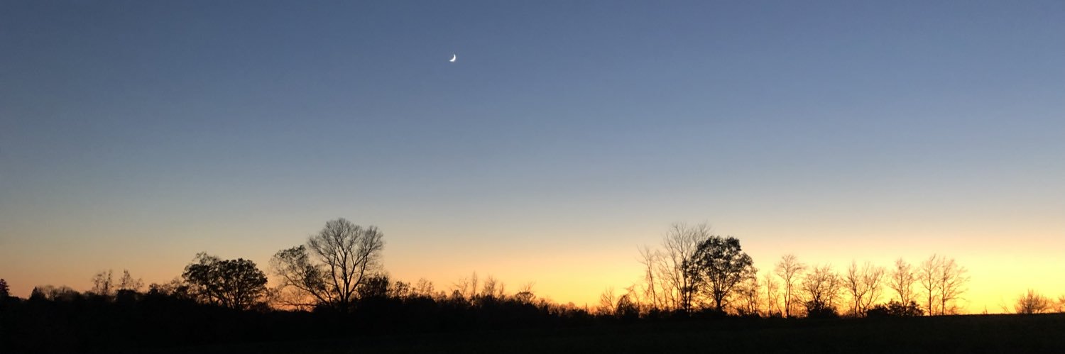 therealjakemart's profile banner image