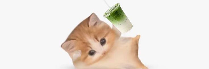 nn_orro's profile banner image