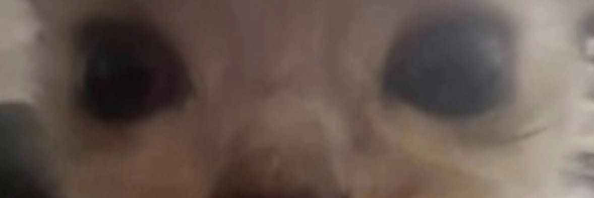 Mxdz banner