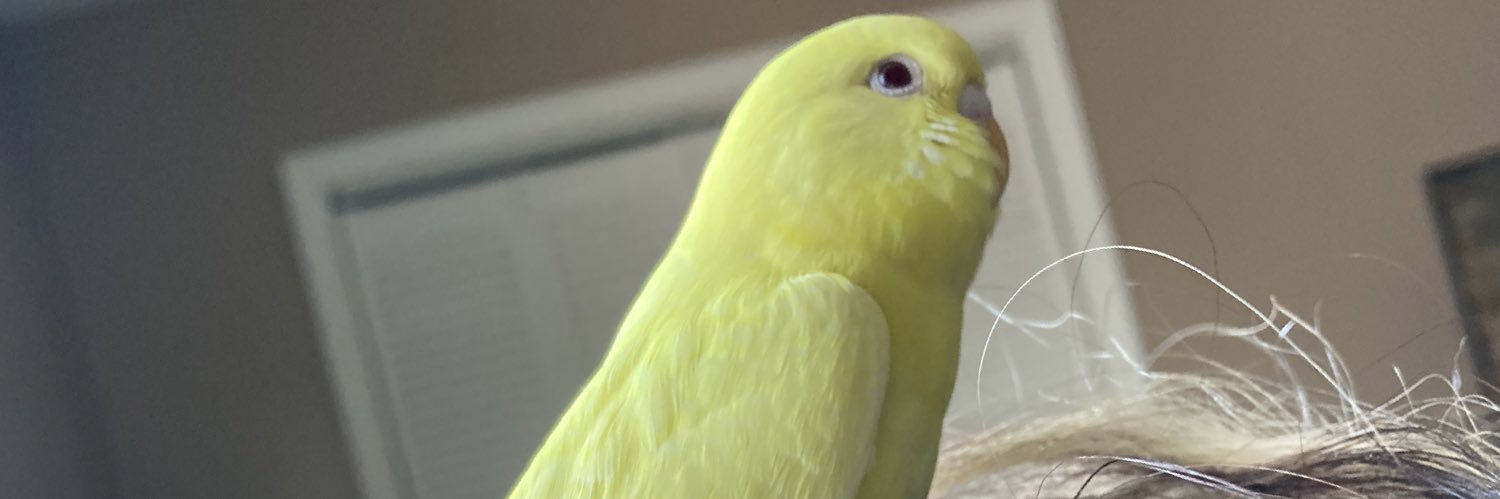 Dis2qute4u's profile banner image