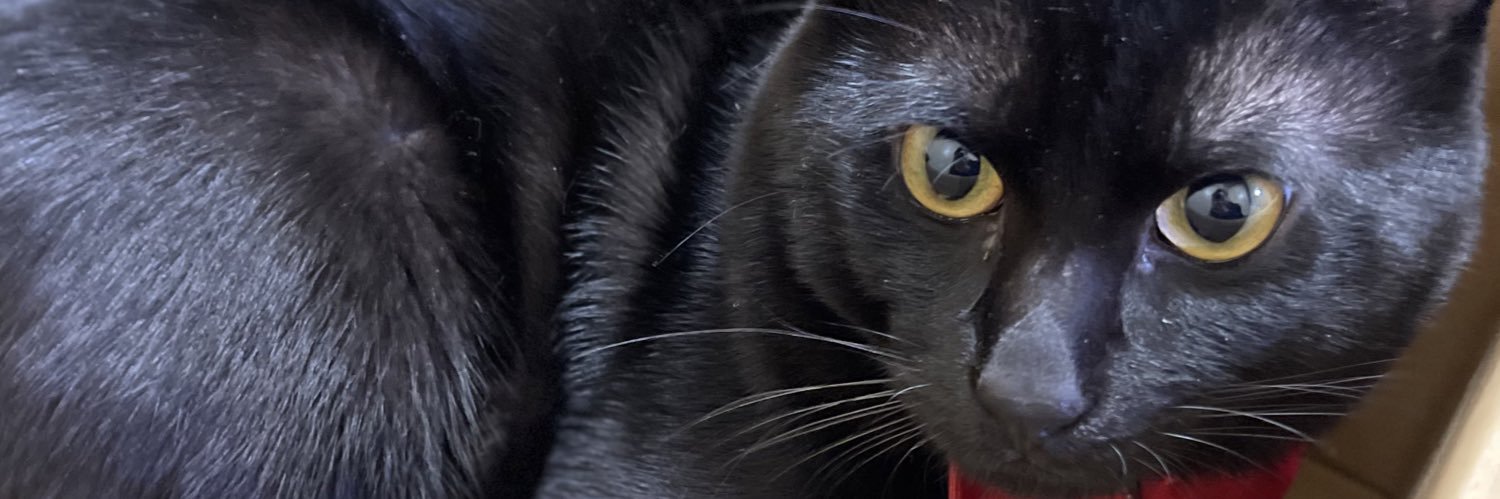 syunki5151's profile banner image