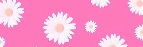 Ferriniofficial's profile banner image