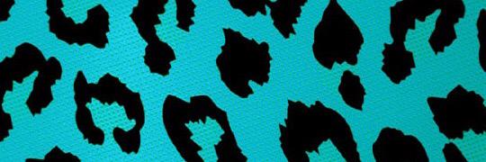 dkay_18's profile banner image
