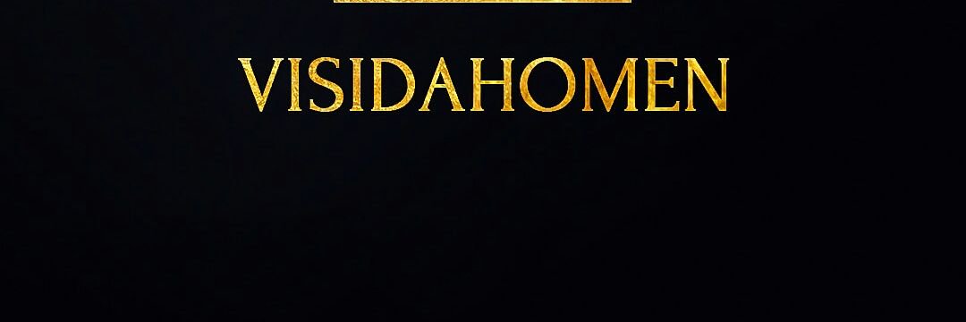 VIsidahomen's profile banner image