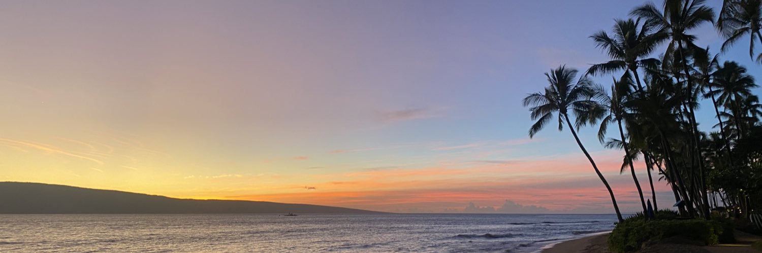 michi🧚🏼‍♀️ banner