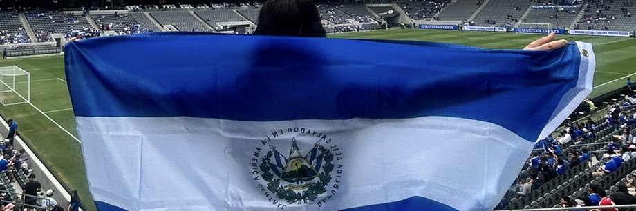 CernaEmely's profile banner image