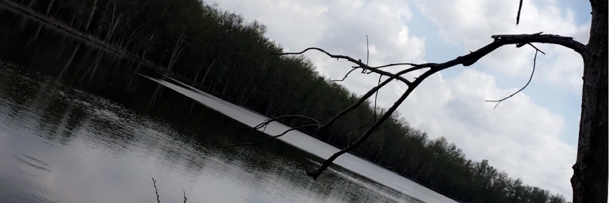 Samiirenea's profile banner image