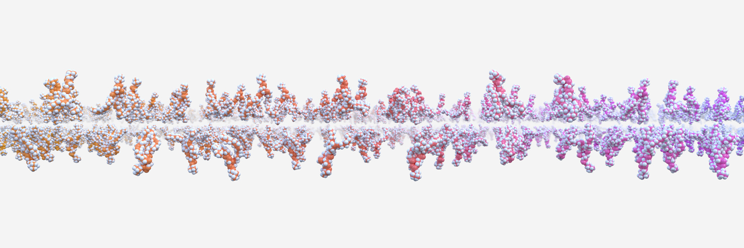Stuart@Biocinematics banner