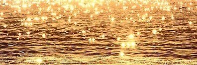 rvida81's profile banner image
