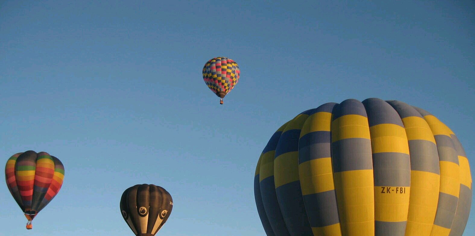 a_beehive's profile banner image