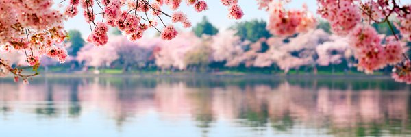 LDComputers Profile Banner