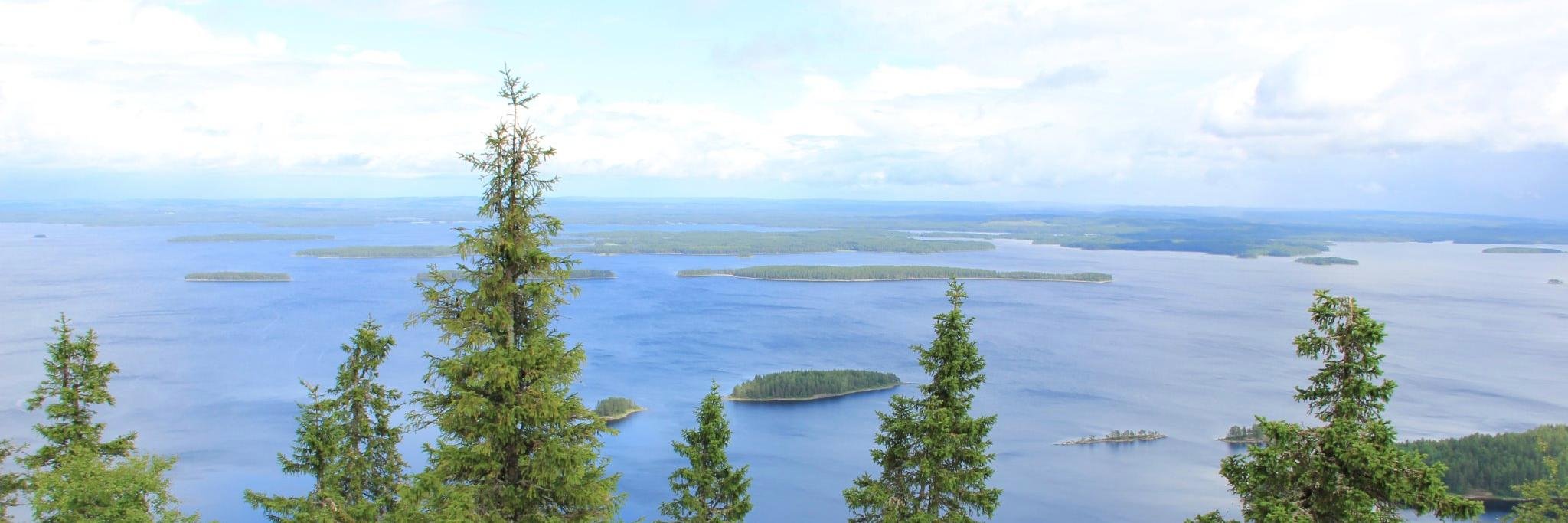 Markku Räsänen banner