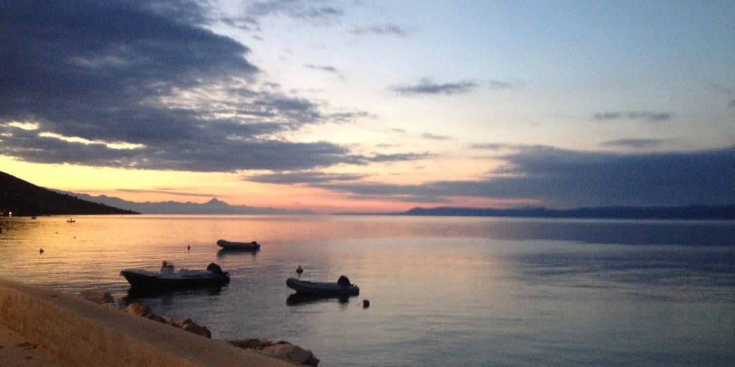 Stephanie Vardy banner