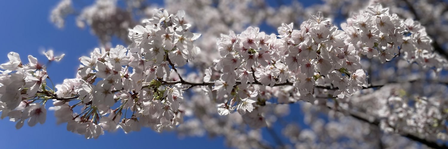 mayu_f_0131's profile banner image