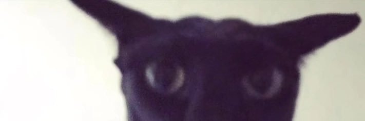 mertceylan26's profile banner image