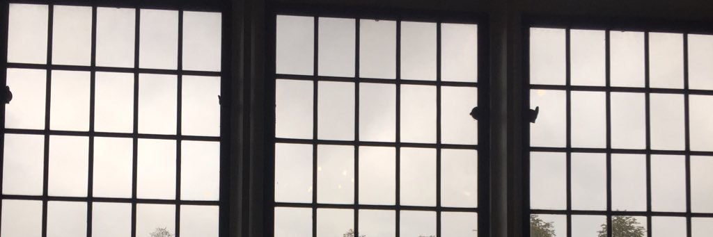 alienizza's profile banner image