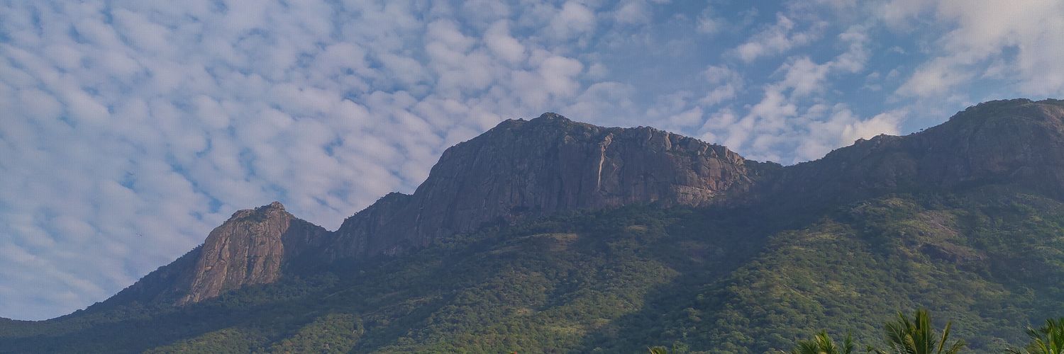 dhamotharanj5's profile banner image