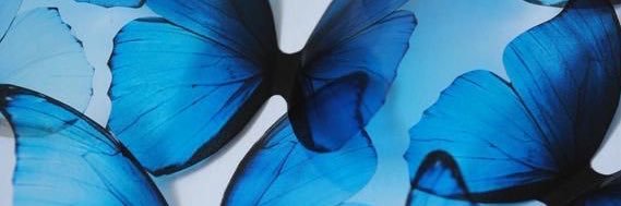 hikayla_'s profile banner image