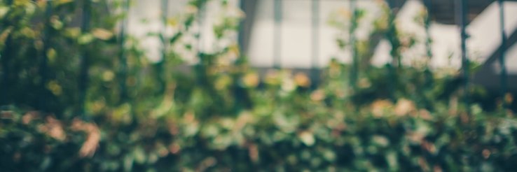 Ito Lecueder banner