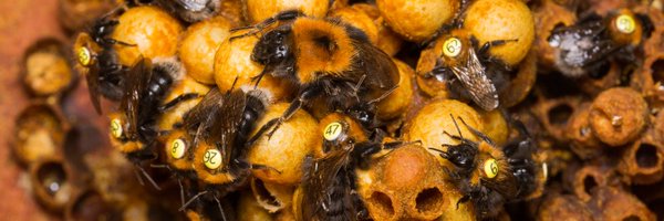 RBrock94 Profile Banner