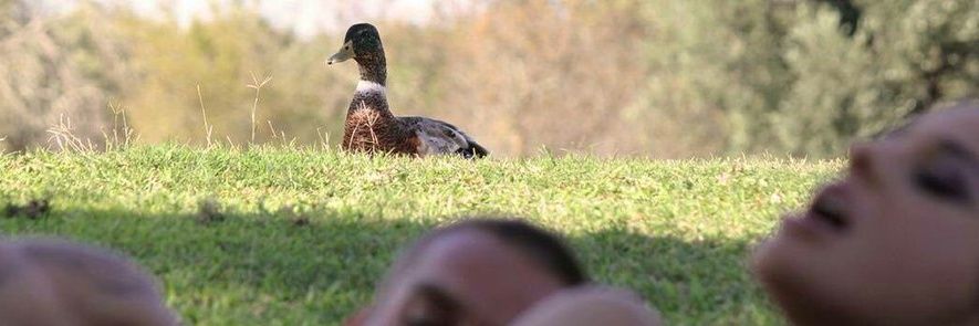 😶‍🌫️𝗿𝗱𝗶𝗻𝗮́𝗿𝗶𝗼 ★彡 banner