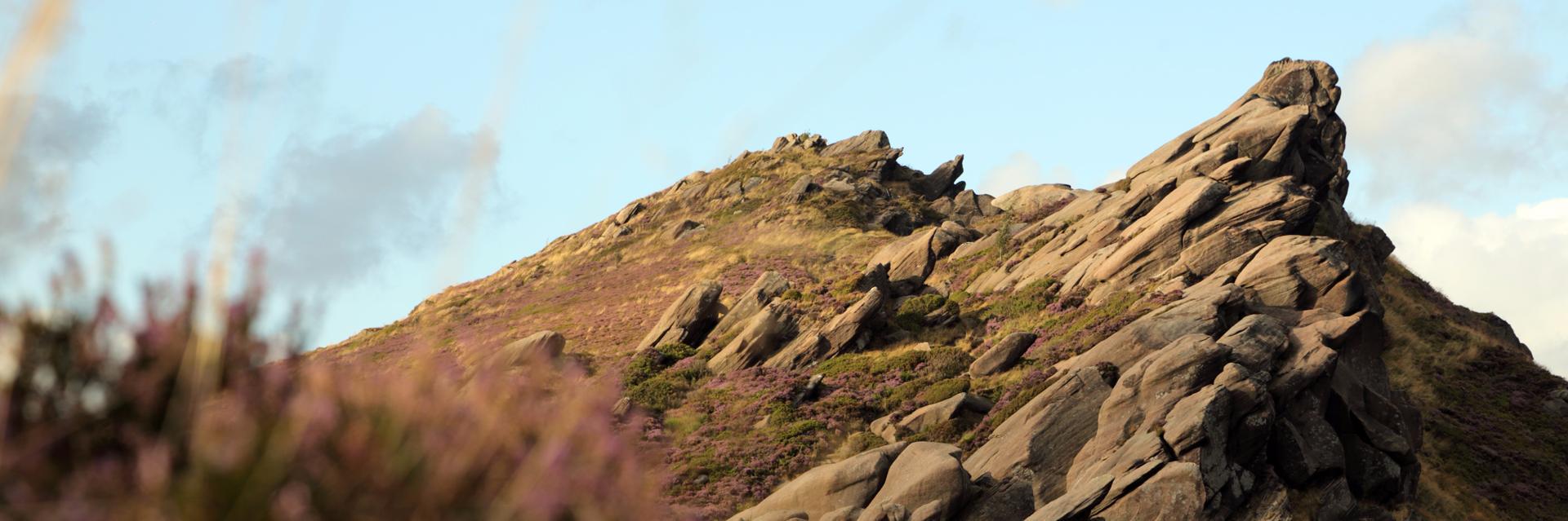 bhcottage's profile banner image