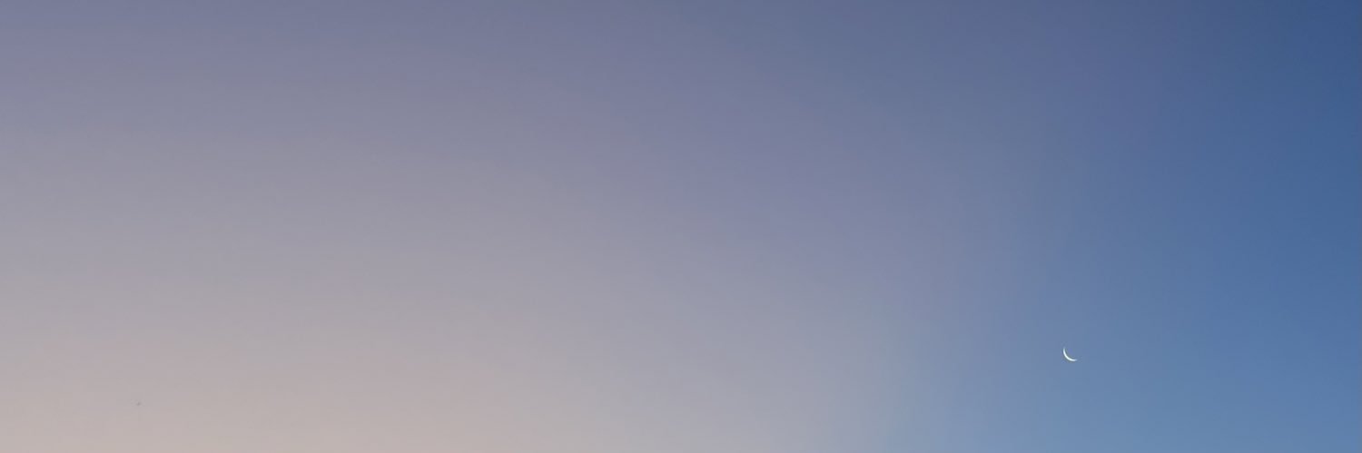 NicoleCesan's profile banner image