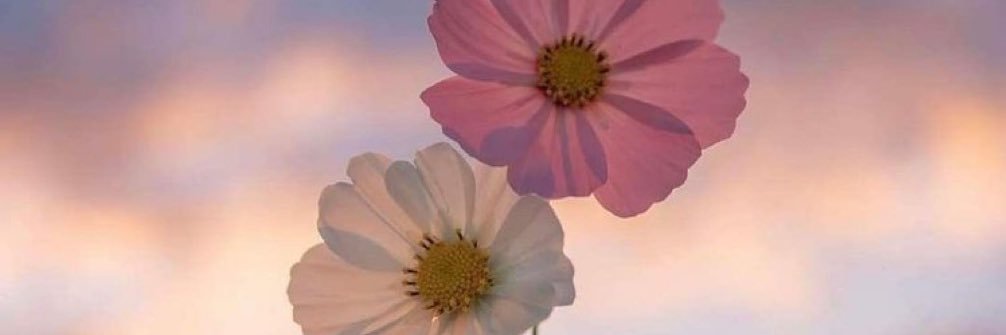 __loveeea's profile banner image