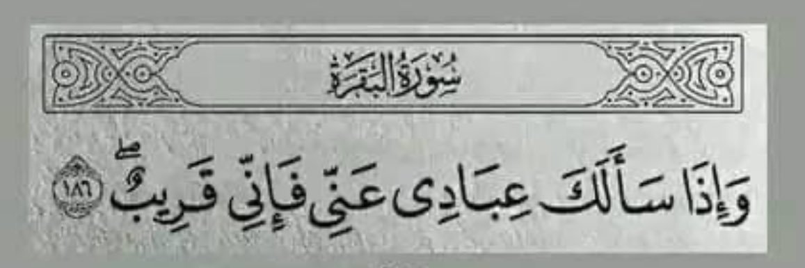 عين عين ♈︎ banner