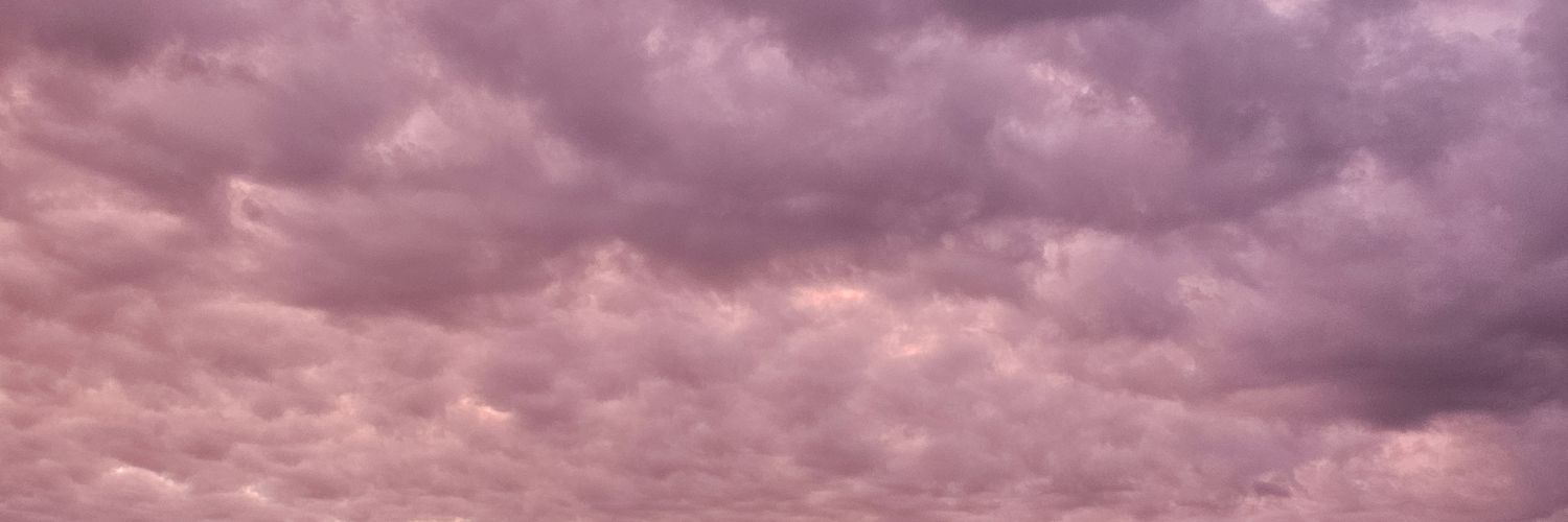 soniabobobo's profile banner image