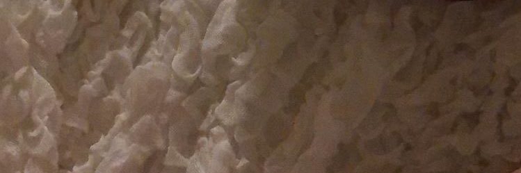 i___rinca's profile banner image